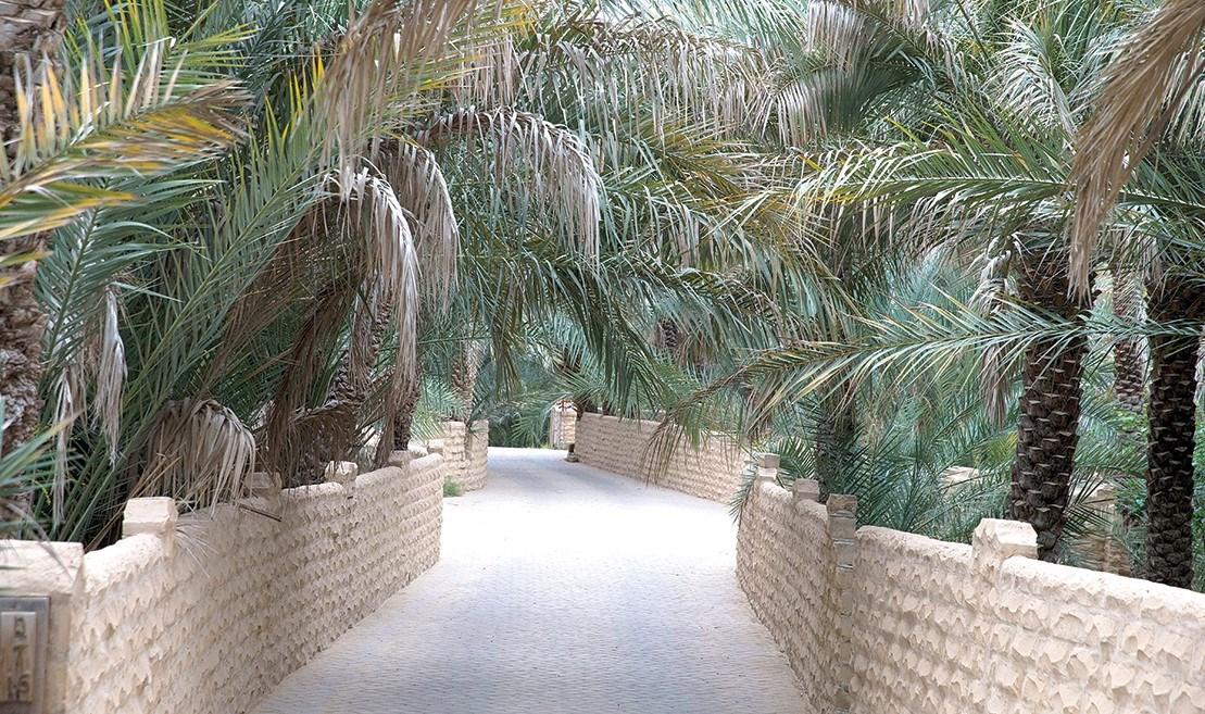 دانة الفلج